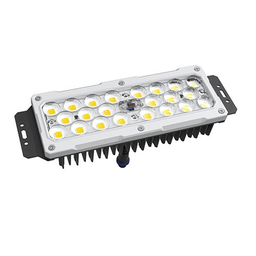 LED Module